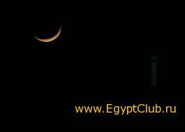 �������� ����