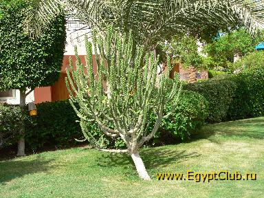 ������ �� ����������