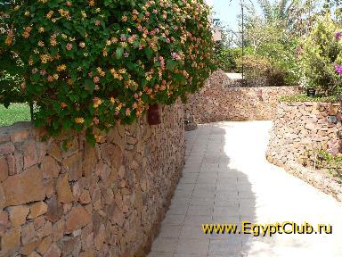 ����� � ������� �������