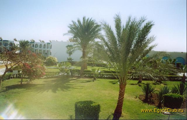 ��� �� ������))