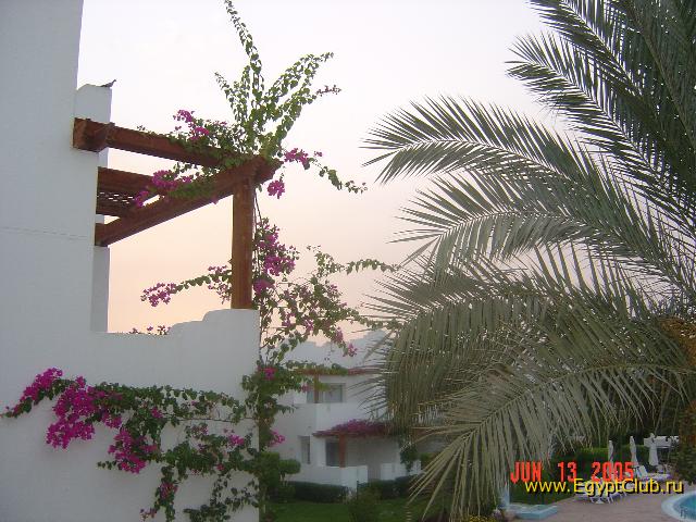 Creative Mexicana Sharm Resort