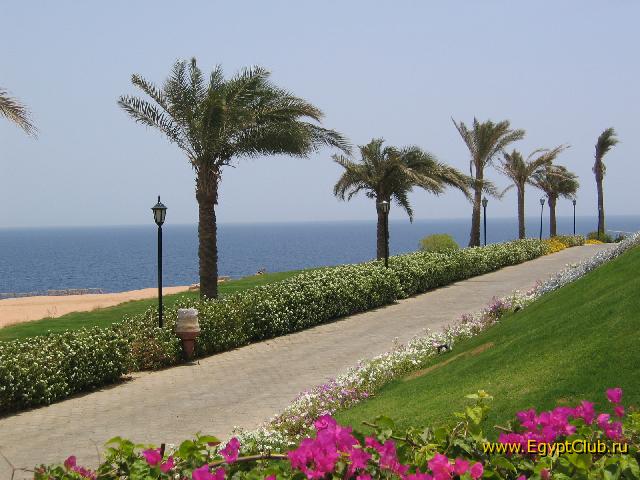 ������� ����� ����