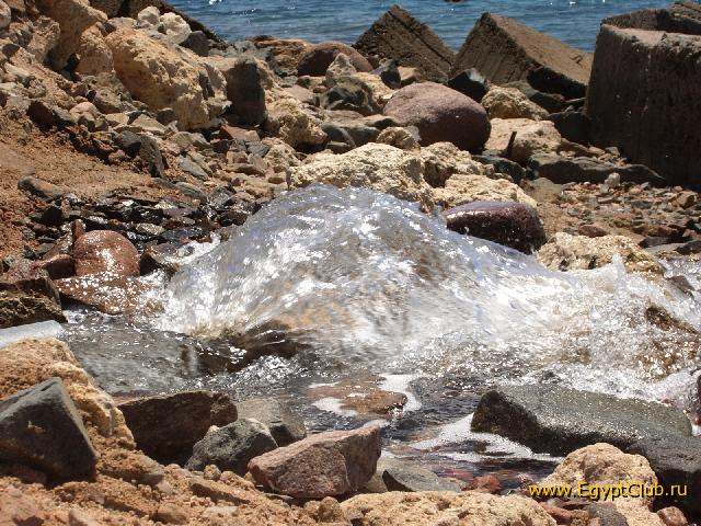 ����� �����