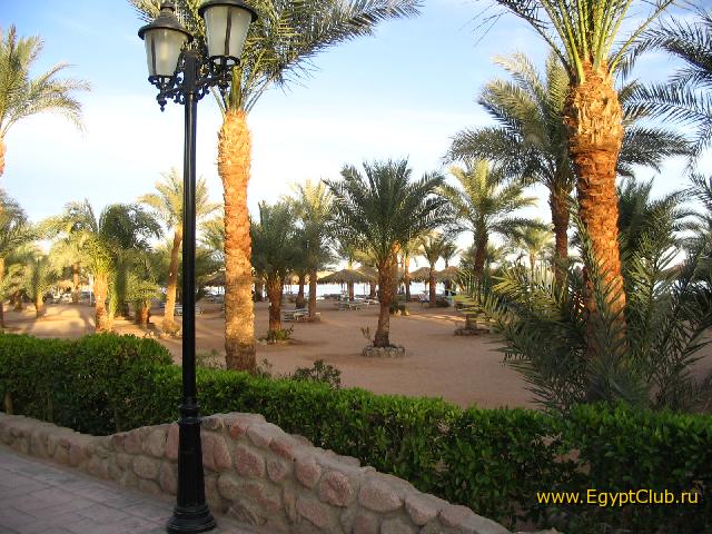 �������� ����