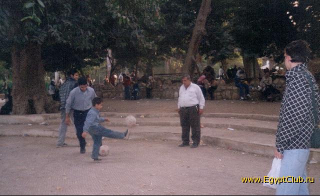 � �������� ��������