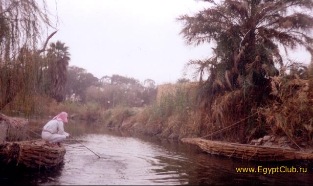 � ������� ��������