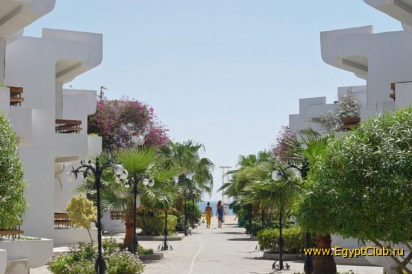 ������ �� ����