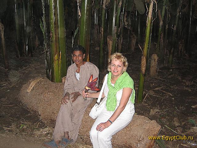 ������ ������