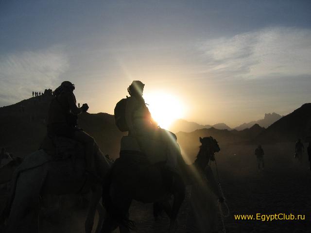 � �������