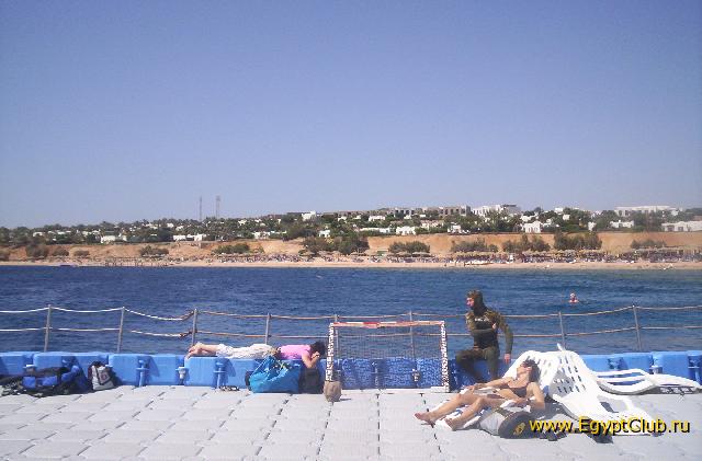 ������ ������:)