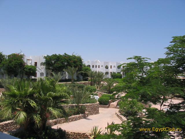 ��� �� ����