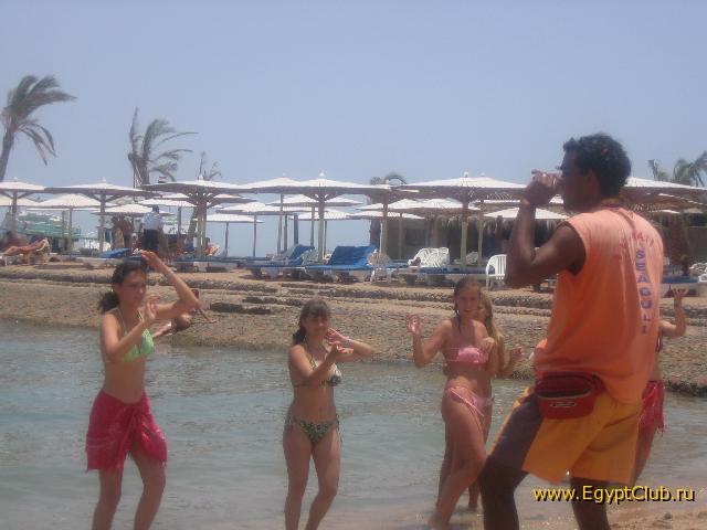 ������ ��������