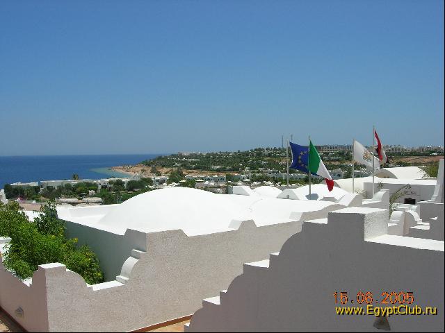 ����� ����� ����