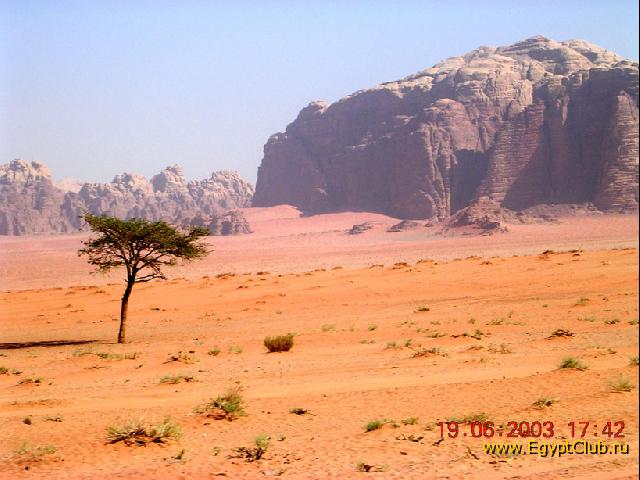 ���� ���.