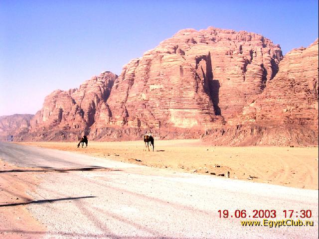 ���� ���.