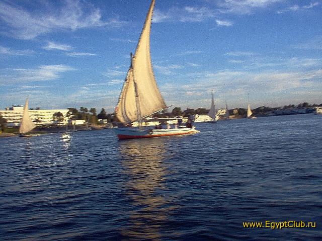 ������ ���