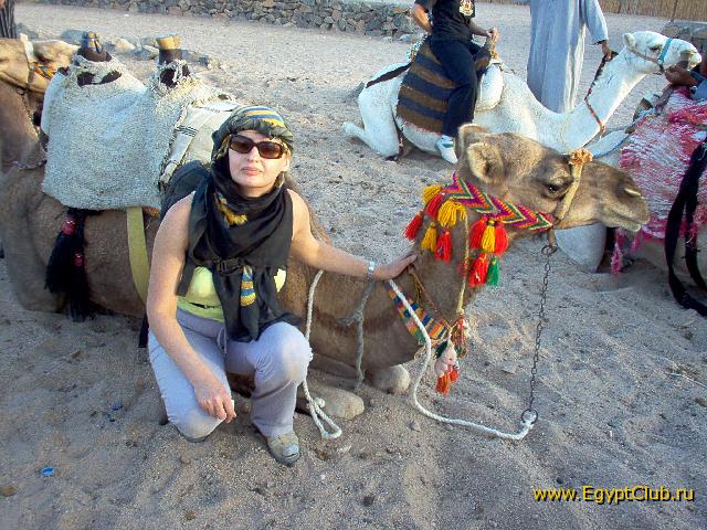 ��� � ��� �� �������