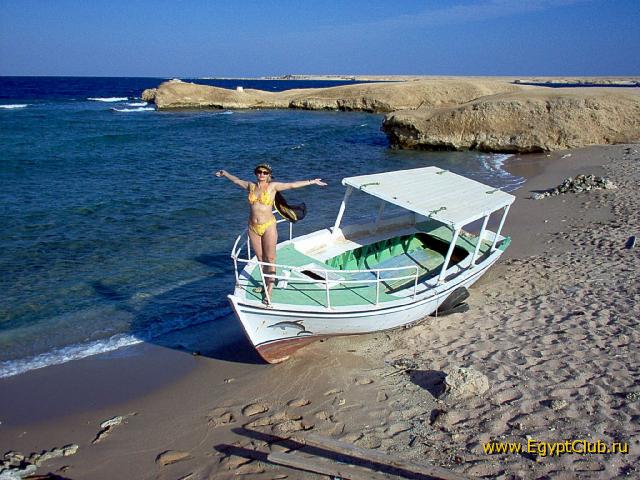 � ����-���-����