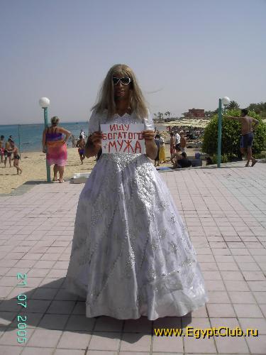 sindbad �������