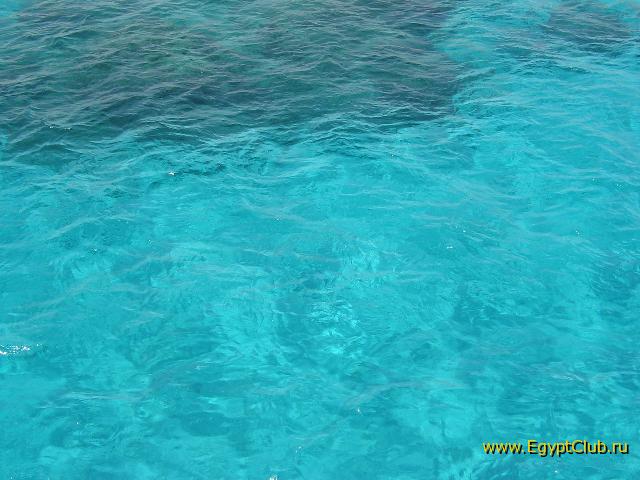 ������� ����