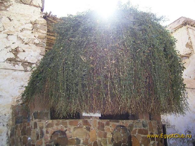 ���������� ������