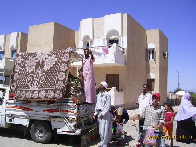 � �������