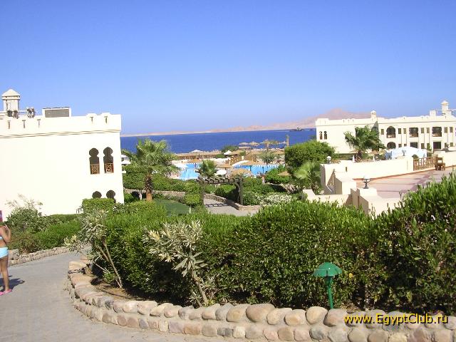 ��� � ����������