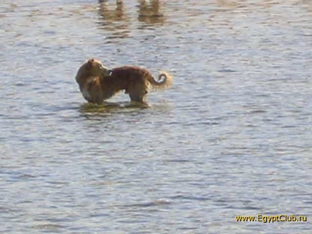 ����� ���, ������� ����� ����......