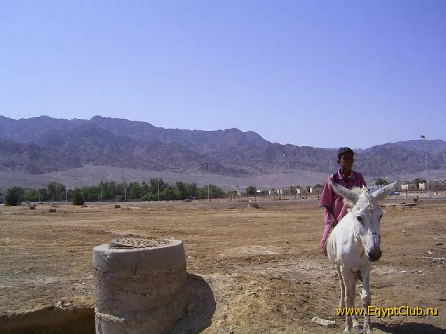 � �������