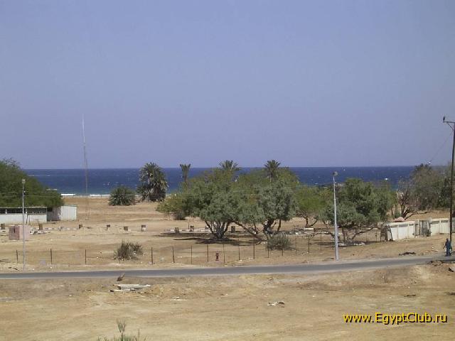 � �������