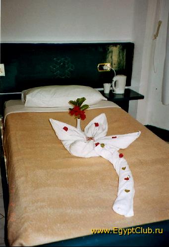 Blue Reef 2*, �����