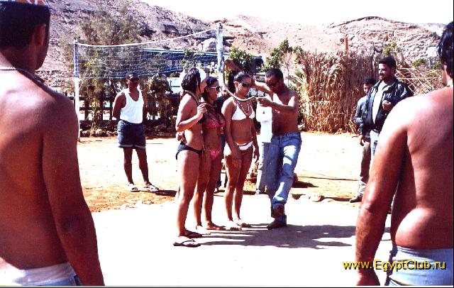 Blue Reef 2*, ����...