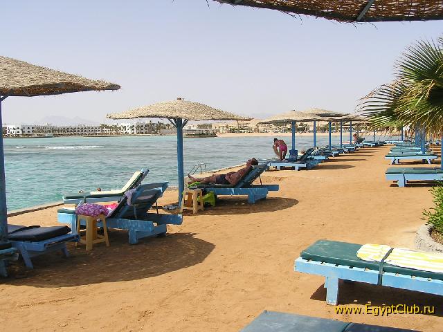 ���� �������