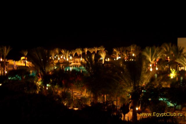 ����� �����