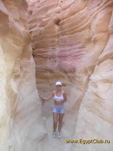 ������� ������