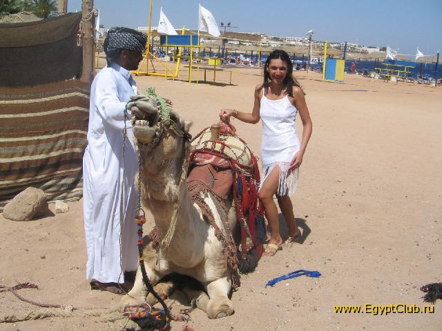 �����  ������ ����� ���