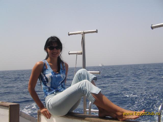 ����� ������ ����� ���