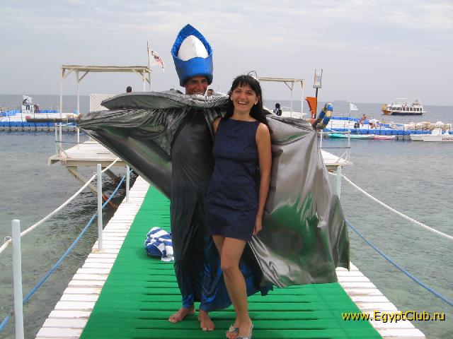 ����� ������ ����� ���