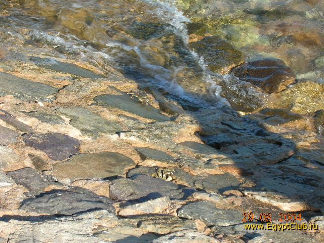 ����� �� ������