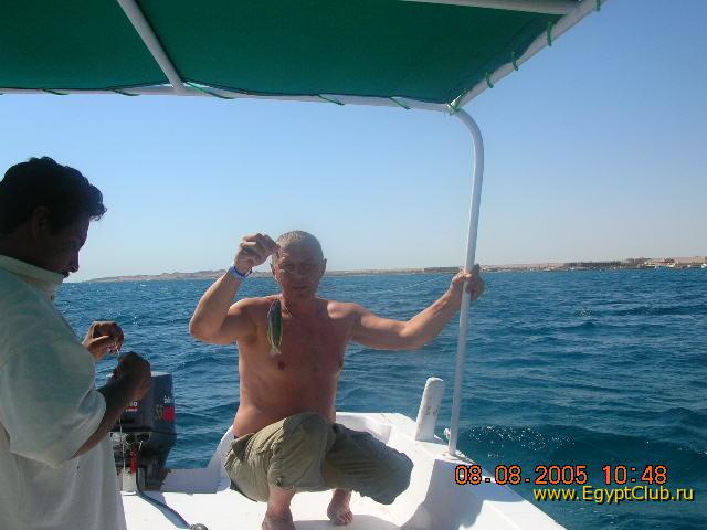 �� �������