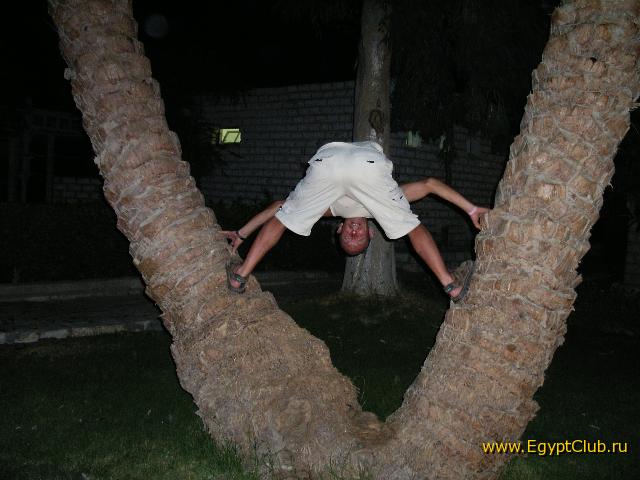 �������-����