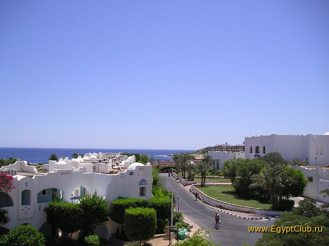 ����� ���