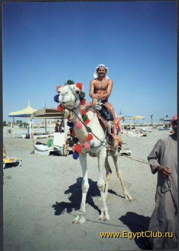 ����� �������� �������