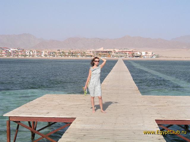 ���� ��������� ��� �������