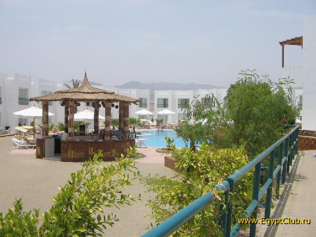 ������ ����� �����