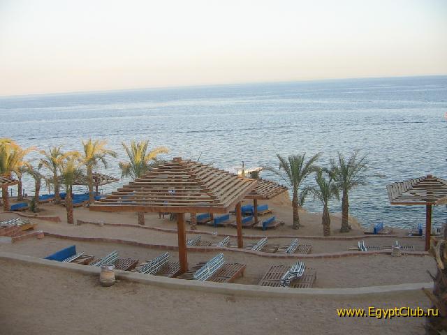 ���� � 7 ������