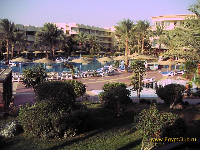 ��� � �������