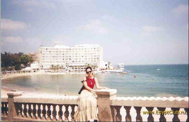 ����������� - ��������� 