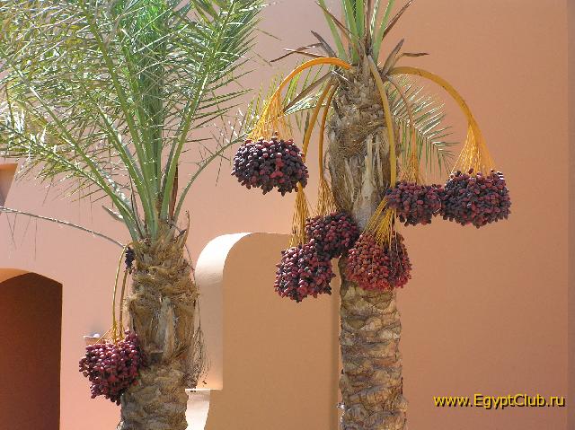 ��������� ������