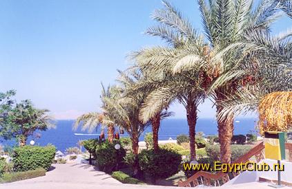 ����� � ���� � ����� ��������